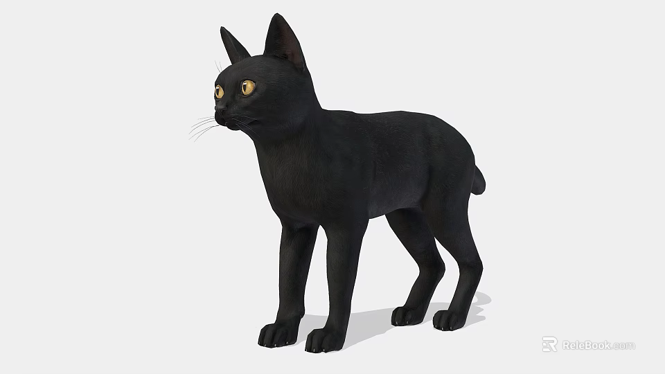 Black Cat With Shiny Black Fur And Bright Yellow Eyes In Standing Position 3d model 