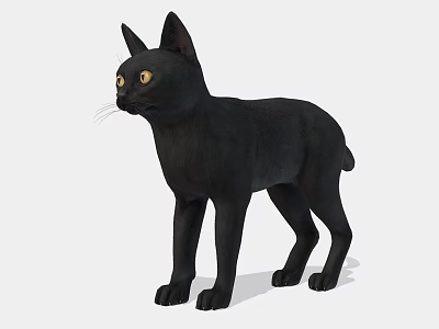 Black Cat With Shiny Black Fur And Bright Yellow Eyes In Standing Position 3d model