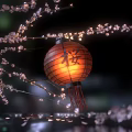 Festive Chinese Lantern With Cherry Blossom Branches For Home Decoration Lighting