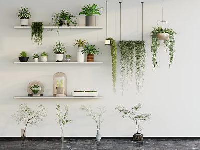 Indoor Bonsai and Potted Plants Decor with Shelves and Hanging Greenery 3d model
