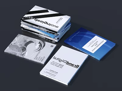 Stacked Magazines With Black White And Blue Covers Featuring FastCompany Design 3d model