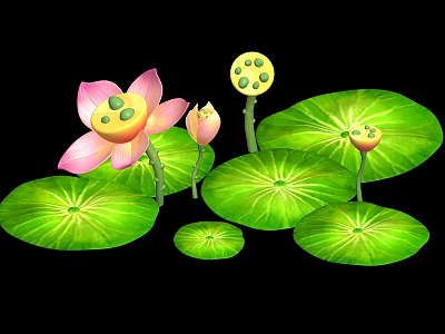 Beautiful Pink Lotus Flowers With Green Leaves And Seed Pods In Bloom 3d model