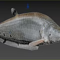 Silver Gray Fish With Dorsal Fin And Black Spots On The Side In Blue Background