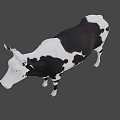 Realistic Black and White Spotted Cow 3D Model Standing Isolated on Gray Background