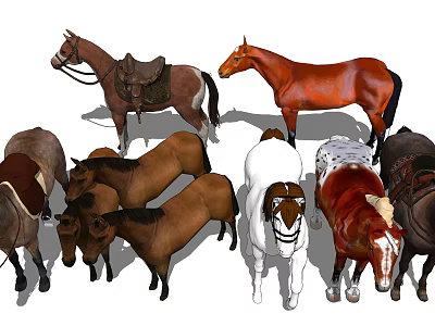 Various Reptile Species With Distinct Colors And Patterns In Natural Habitat 3d model