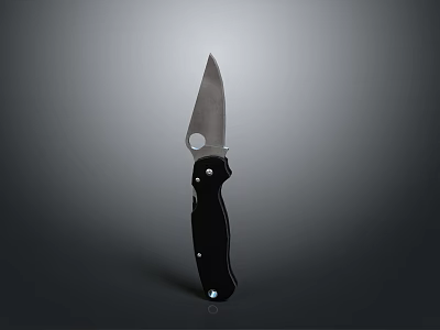 Tactical Stainless Steel Folding Knife With Sharp Blade And Black Handle 3d model