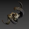 Animal Skull With Curved Horns And Natural Texture On Gray Background