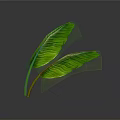 Fresh Green Herb Leaves as Natural Food Ingredient for Healthy Dishes