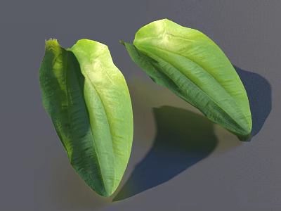 Vibrant Green Leaves With Shiny Surface And Smooth Texture On Gray Background 3d model