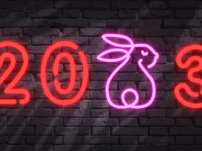 Vibrant Neon Decorative Lights With Year 2023 And Rabbit Design On Brick Wall Background 3d model