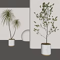 Modern Minimalist Potted Plants With White Ceramic Pots And Green Foliage