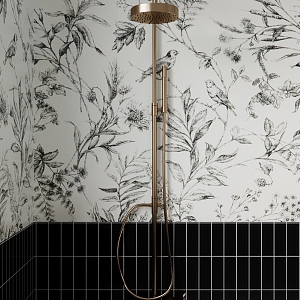 Vintage Bathroom Shower 3d model