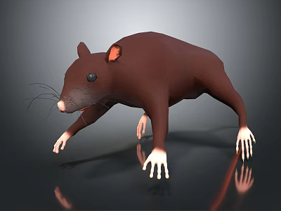3D Model Brown Rat With Pink Ears White Paws And Black Eyes On Black Background 3d model