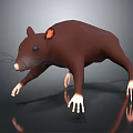 3D Model Brown Rat With Pink Ears White Paws And Black Eyes On Black Background