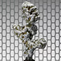 White and Gold Irregular Decorative Ornament Set with Grid Pattern Background