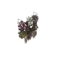 Stylish Floral Display With Multi Layered Shelf And Varied Hanging Foliage Plants