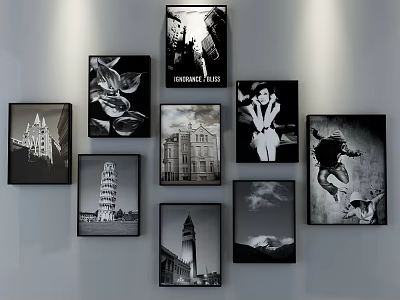 Framed Black and White Landscape Art with Architectural Prints Mountain Scenery and Flower Portraits 3d model