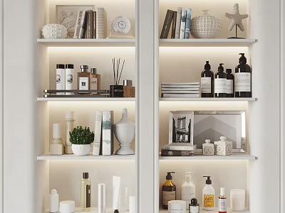 Modern Decorative Ornament Combination With Books Vases Starfish And Lighting On White Shelves 3d model
