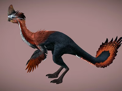 Vibrant Feathered Reptile Dinosaur Featuring Black Red Orange Plumage In Walking Pose 3d model
