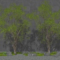 Modern landscape tree arbor courtyard tree modeling tree moss stone landscape sketch 3d model