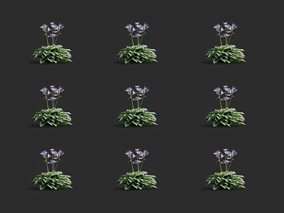 Purple Flowering Plants With Green Leaves Arranged Neatly On Black Background 3d model