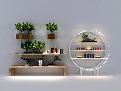Functional Wooden And Circular White Shelving Units With Green Plants And Jars 3d model