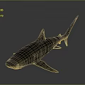 Realistic Aquatic Animal Shark With Sleek Dark Body And Sharp Fins On Shiny Surface