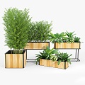 Plant Potted Plant Combination Plant Flower Pot Flower Tank Potted Green Plant Bonsai Wooden Box Box 3d model