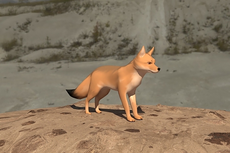 Fox 3d model