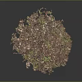 Plant Mulch with Brown Leaves and Green Moss in Irregular Circular Shape