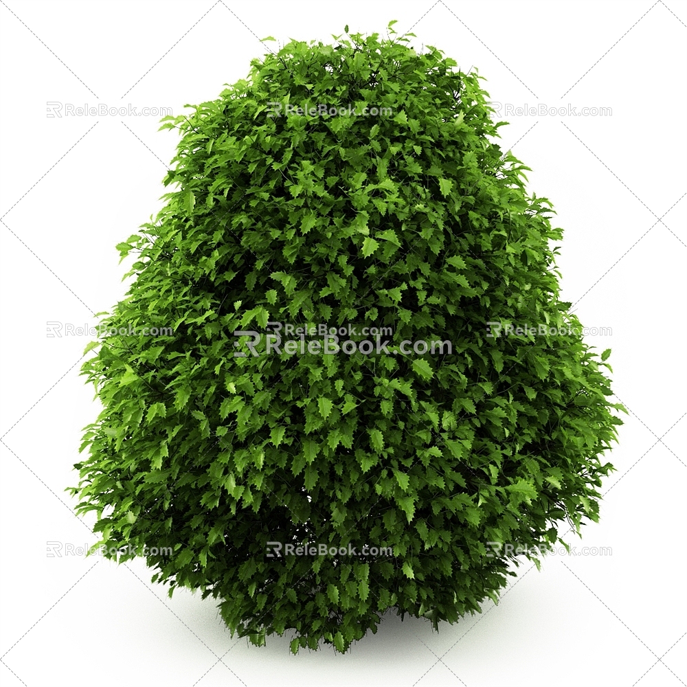 Banyan landscape shrub outdoor plant 3d model