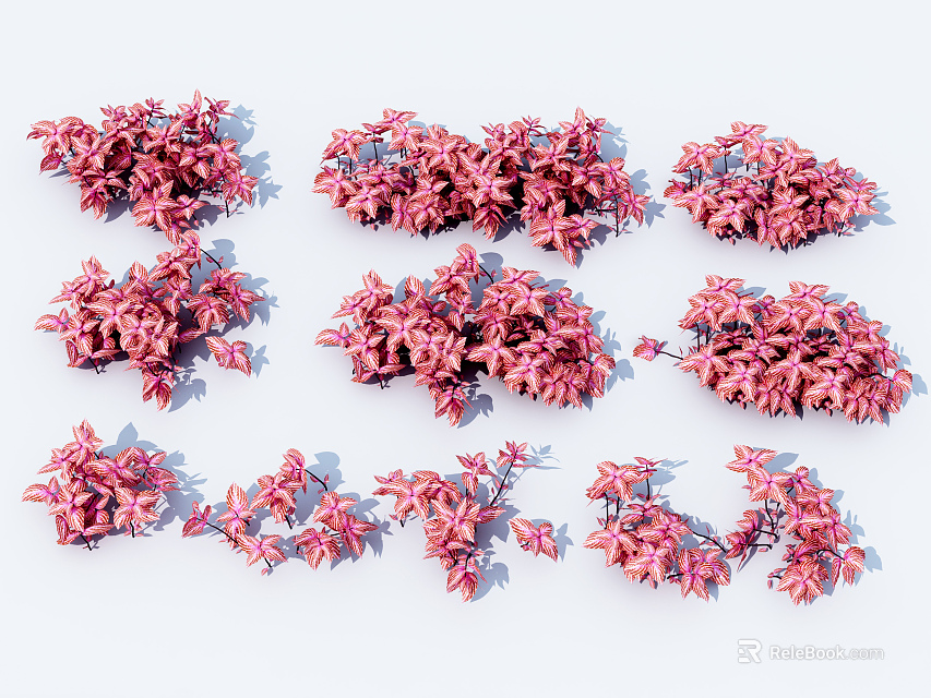 Pink Floral Bushes With Various Shapes For Garden And Landscape Design 3d model 