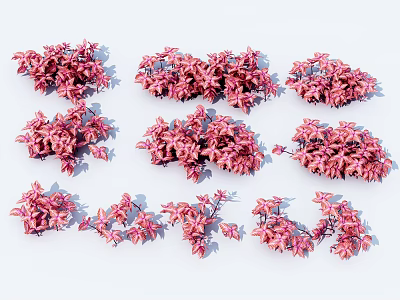 Pink Floral Bushes With Various Shapes For Garden And Landscape Design 3d model