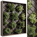 Green Living Wall With Grid Structure And Various Plants