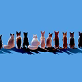 Group of Different Cat Breeds Sitting Together on Blue Background
