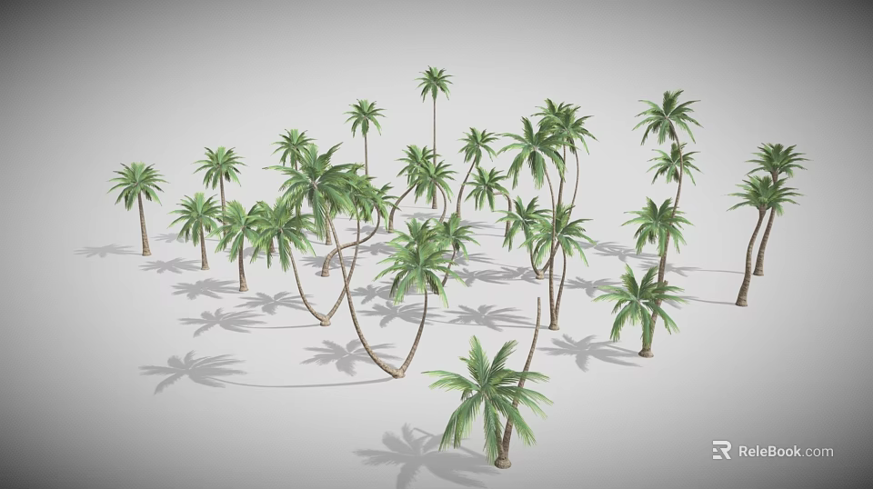 Multiple Palm Trees With Green Fronds And Long Trunks Casting Shadows 3d model 