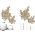 White Ceramic and Clear Glass Vases with Pampas Grass Arrangement on Neutral Background