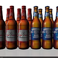 Budweiser and Bud Light Beer Bottles Display with Red Blue Labels Arrangement