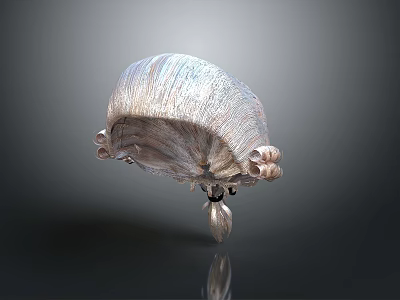 Abstract Metallic Sculpture With Smooth Curved Surface And Reflective Finish 3d model