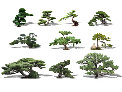 Various Types of Trees with Different Shapes and Styles for Garden Landscaping 3d model