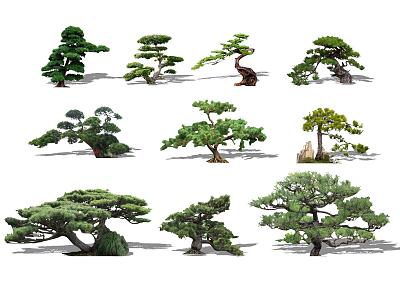 Luo Han Pine Modeling Pine Black Pine Landscape Tree Pine Tree Ornamental Tree Modeling Tree Bonsai 3d model