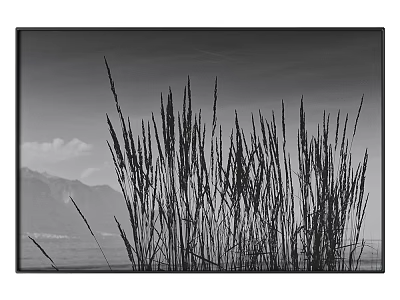 Black and White Landscape Painting With Tall Grass Mountain Range Calm Lake And Cloudy Sky 3d model