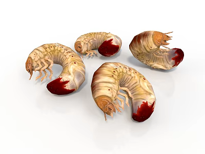 Four Segmented Larvae With Yellowish White Body And Red Tail On White Background 3d model