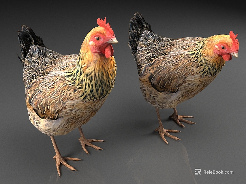 Two Reptiles With Detailed Scales Standing On Gray Background 3d model 