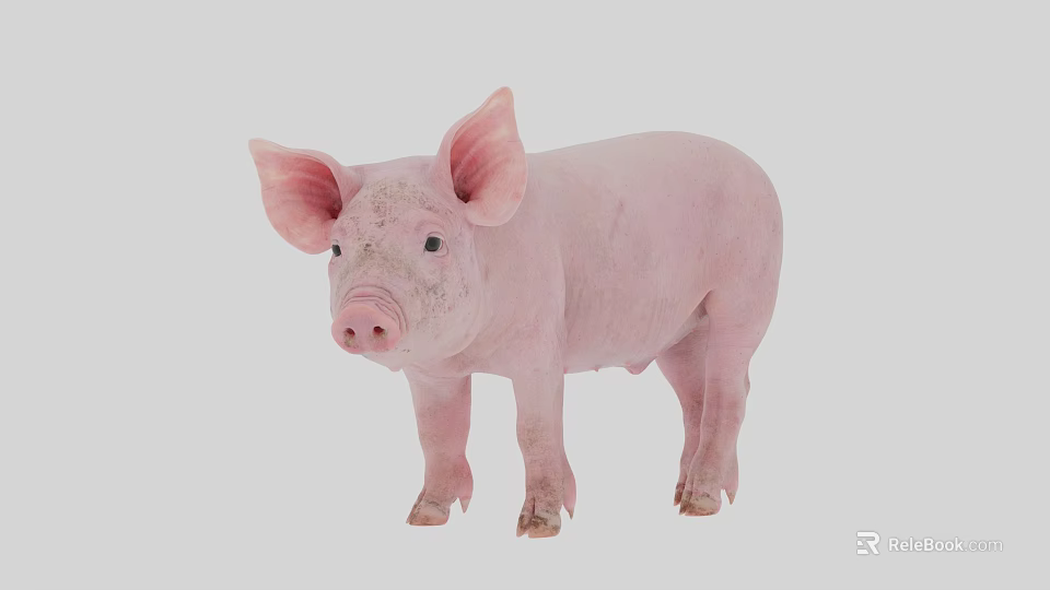 Pink Reptile With Smooth Skin And Alert Eyes In Natural Habitat 3d model 