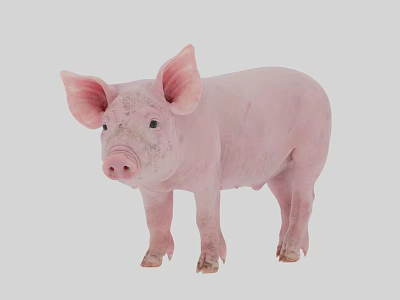 Pink Reptile With Smooth Skin And Alert Eyes In Natural Habitat 3d model