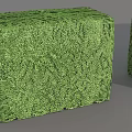 Two Well Trimmed Green Rectangular Shrubs In Block Shape For Garden Landscaping