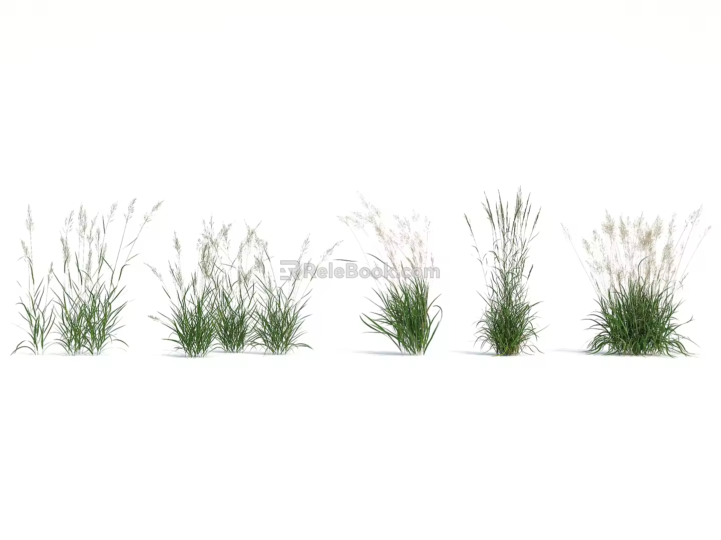Modern Grass 3d model