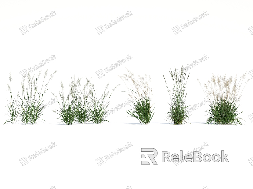 Modern Grass model