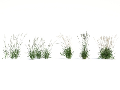 Modern Grass 3d model